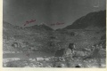 3294-188 cr .jpg